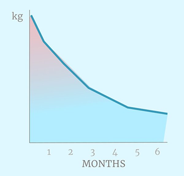 Weight loss results Ireland - 10-14kg in 6 months chart